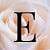 Elle S.